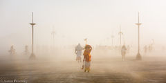 black rock city,burning man,burning man 2015,carnival of mirrors,feinberg