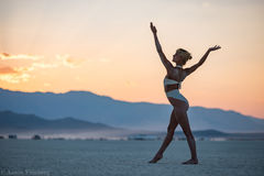 Aaron Feinberg, black rock city, brc, burning man, burning man 2018, feinberg, festival, in dust we trust, irobot, playa