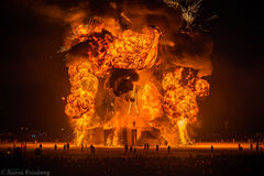 Aaron Feinberg, black rock city, brc, burning man, burning man 2018, feinberg, festival, in dust we trust, irobot, playa