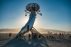 Aaron Feinberg, black rock city, brc, burning man, burning man 2018, feinberg, festival, in dust we trust, irobot, playa