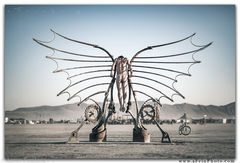 Aaron Feinberg, black rock city, brc, burning man, burning man 2018, feinberg, festival, in dust we trust, irobot, playa