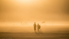 Aaron Feinberg, black rock city, brc, burning man, burning man 2018, feinberg, festival, in dust we trust, irobot, playa