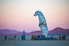 Aaron Feinberg, black rock city, brc, burning man, burning man 2018, feinberg, festival, in dust we trust, irobot, playa