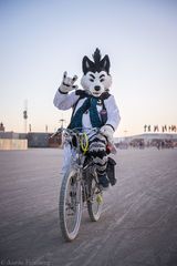 Furry Wolf riding a bike on playa 2019 Burning Man