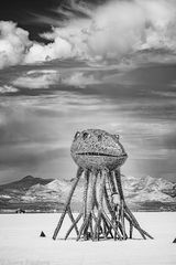 art installation on playa at Black Rock City 2019 Burning Man 