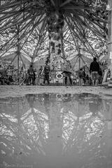 Aaron Feinberg, afeinburn, black rock city, brc, burning man, burning man 2023, playa
