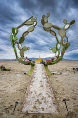 Aaron Feinberg, afeinburn, black rock city, brc, burning man, burning man 2023, playa