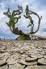 Aaron Feinberg, afeinburn, black rock city, brc, burning man, burning man 2023, playa