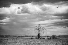 Aaron Feinberg, afeinburn, black rock city, brc, burning man, burning man 2023, playa