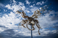 Aaron Feinberg, afeinburn, black rock city, brc, burning man, burning man 2023, playa