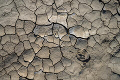 Aaron Feinberg, afeinburn, black rock city, brc, burning man, burning man 2023, playa
