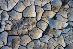 Aaron Feinberg, afeinburn, black rock city, brc, burning man, burning man 2023, playa