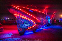 Aaron Feinberg, black rock city, brc, burning man 2024, playa
