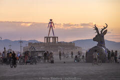 Aaron Feinberg, black rock city, brc, burning man, burning man 2025, in dust we trust, playa, thank you larry, nevada