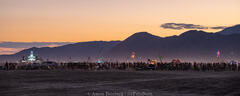 Aaron Feinberg, black rock city, brc, burning man, burning man 2025, in dust we trust, playa, thank you larry, nevada