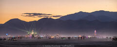 Aaron Feinberg, black rock city, brc, burning man, burning man 2025, in dust we trust, playa, thank you larry, nevada