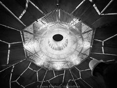 Aaron Feinberg, black rock city, brc, burning man, burning man 2025, in dust we trust, playa, thank you larry, nevada