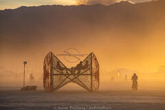 Aaron Feinberg, black rock city, brc, burning man, burning man 2025, in dust we trust, playa, thank you larry, nevada