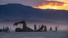 Aaron Feinberg, black rock city, brc, burning man, burning man 2025, in dust we trust, playa, thank you larry, nevada