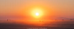 Aaron Feinberg, black rock city, brc, burning man, burning man 2025, in dust we trust, playa, thank you larry, nevada