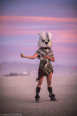 burning man,feinberg
