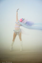 burning man,feinberg