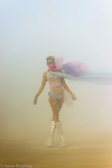 burning man,feinberg