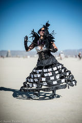 burning man,feinberg