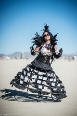 burning man,feinberg
