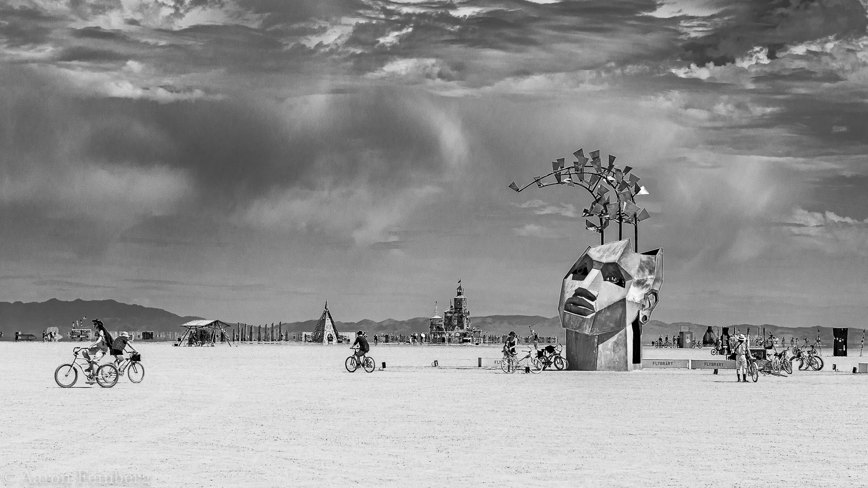 Flybrary art installation 2019 Burning Man 
