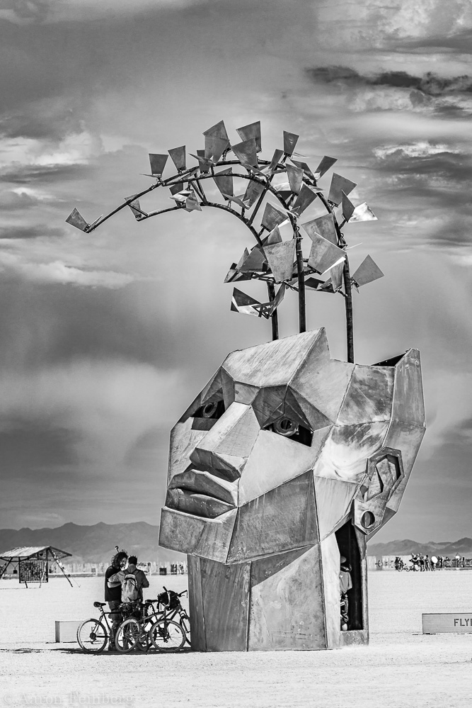 Flybrary giant head art installation 2019 Burning Man 